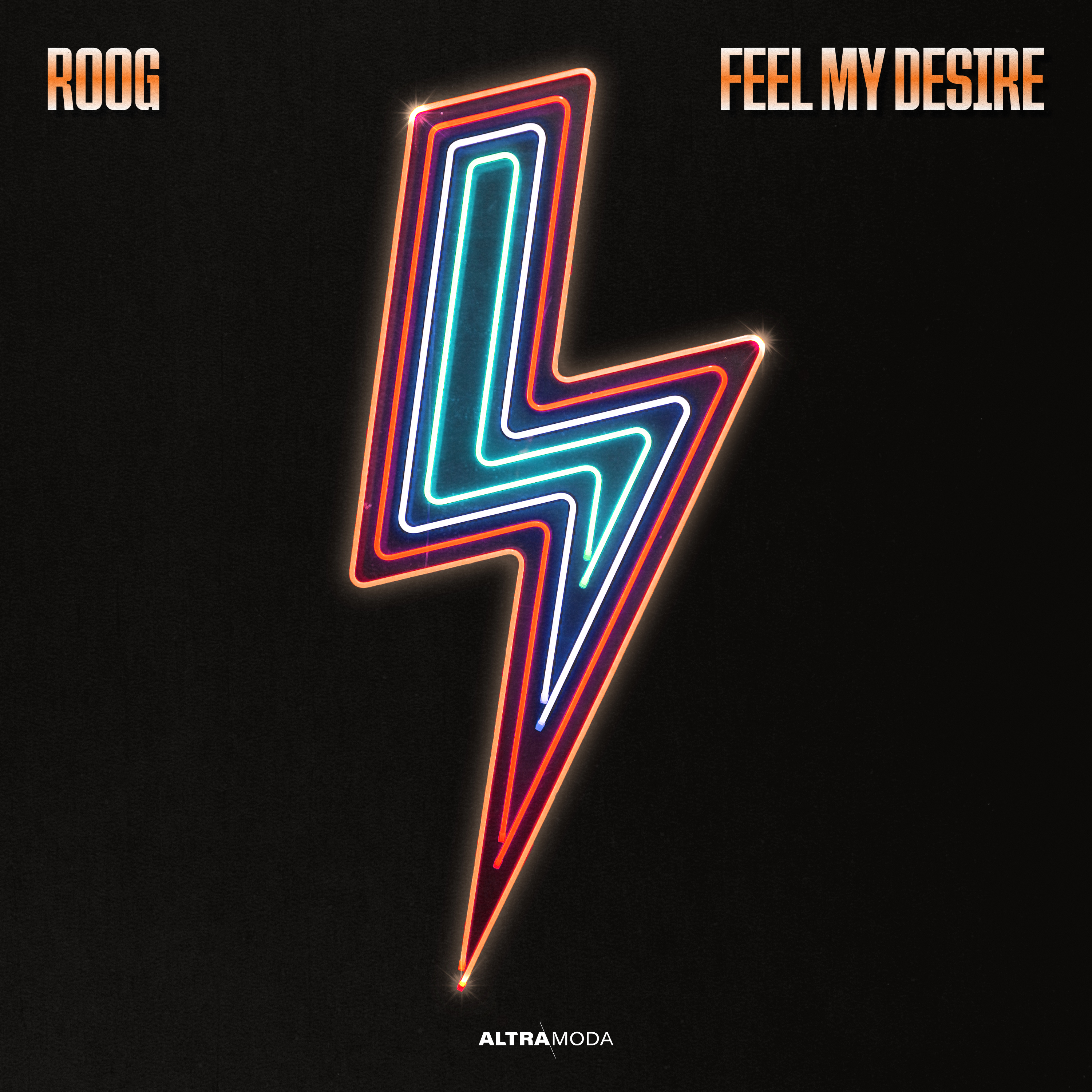 Roog - Feel My Desire - Artwork Final.jpg